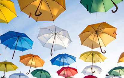 Unbranded Umbrellas for custom printing